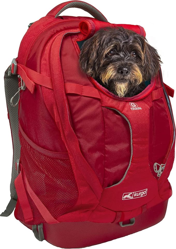 Draagtas Transporttas Hond Reisbench Hond Transportbox