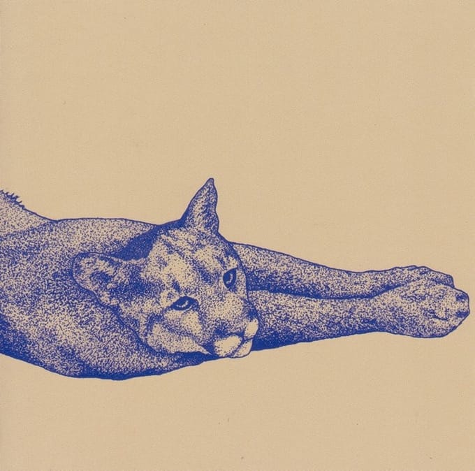 Koen Holtkamp - Field Rituals (CD)
