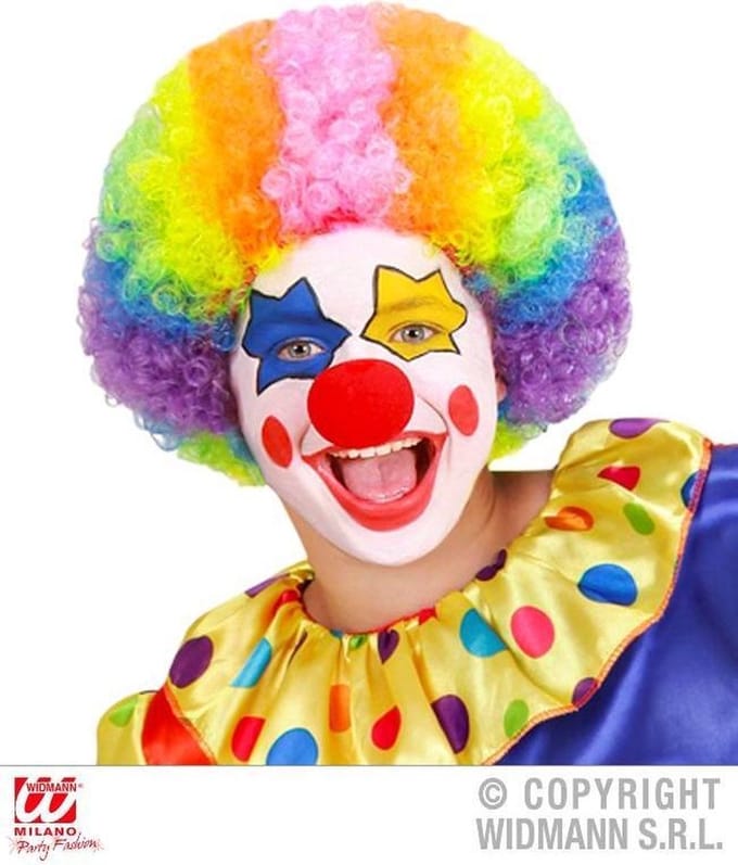 Pruik Clown Multikleuren