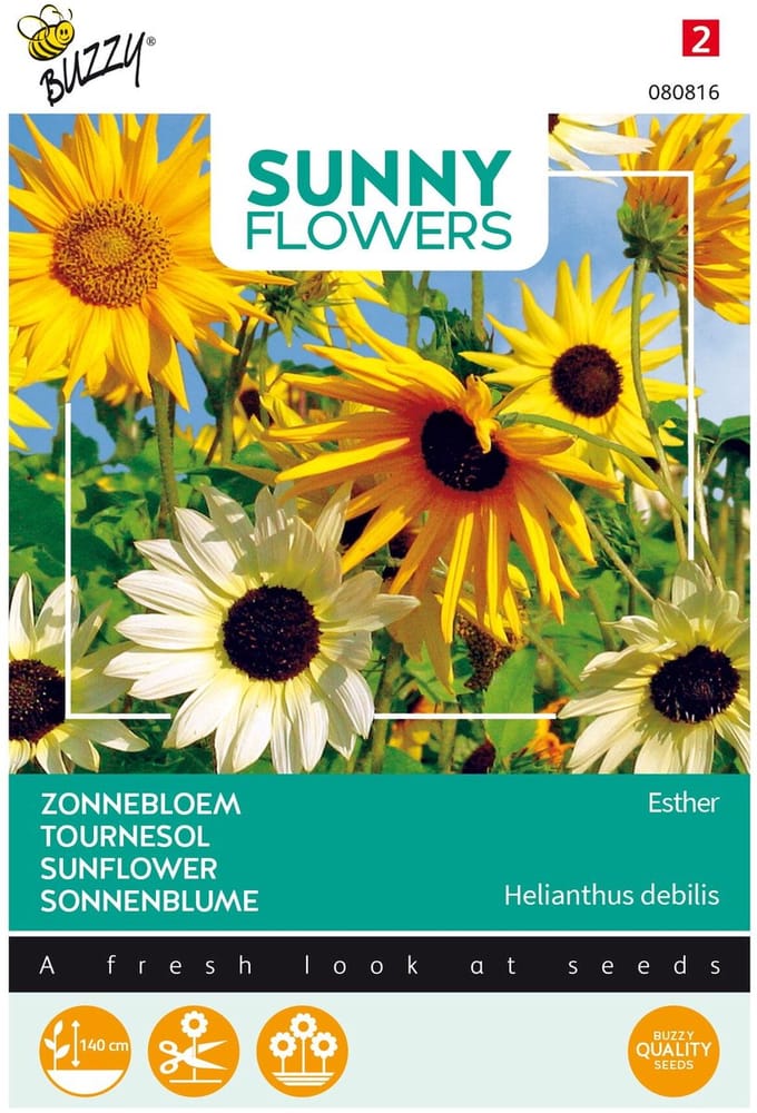 Buzzy® Sunny Flowers, Zonnebloem Esther