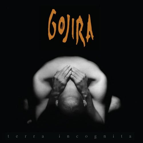 Terra Incognita - Gojira