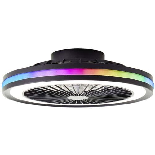 Brilliant Palmero - Plafondventilator - Plafondventilator - LED 40W - 3000K-6500K - Dimbaar - Zwart