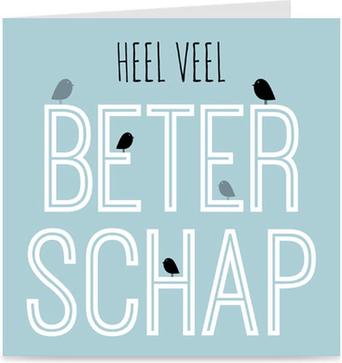 HEEL VEEL BETERSCHAP | kaart / wenskaart met envelop | vogeltjes