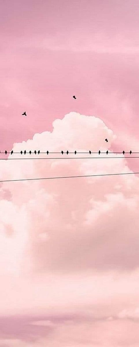 Fotobehang - Cloud Wire 100x250cm - Vliesbehang