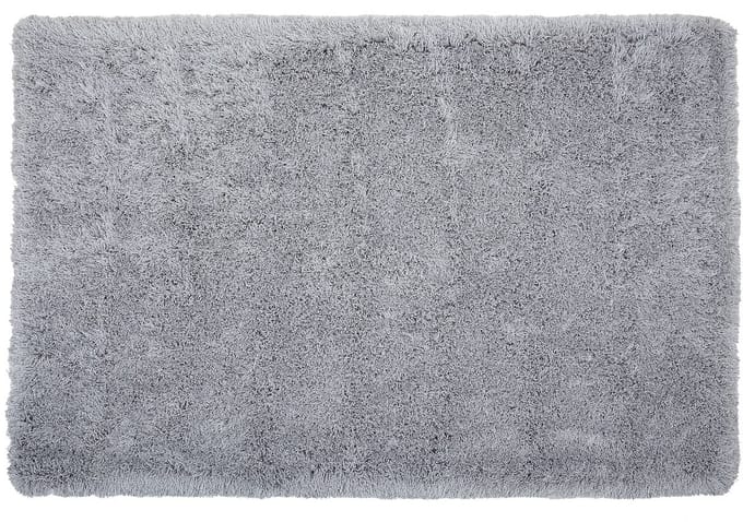 CIDE - Shaggy vloerkleed - Lichtgrijs - 200 x 300 cm - Polyester