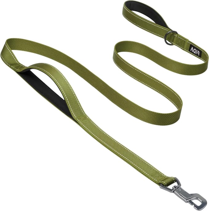 Heavy Duty 1.8m Double Handle Dog Leash for Medium and Large Dogs - Green