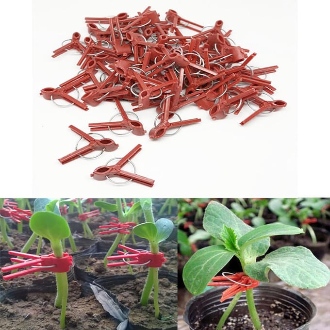 100 stuks planten entclips, plastic entclips, praktische tuinplantenclips