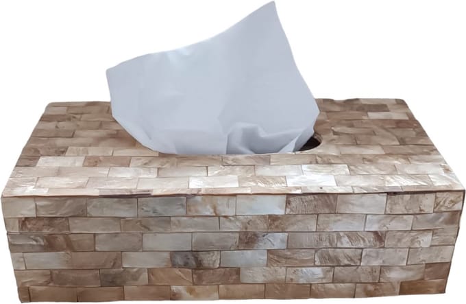 Cosy Creations Tissue box goud Capiz schelpen 24x12x7cm