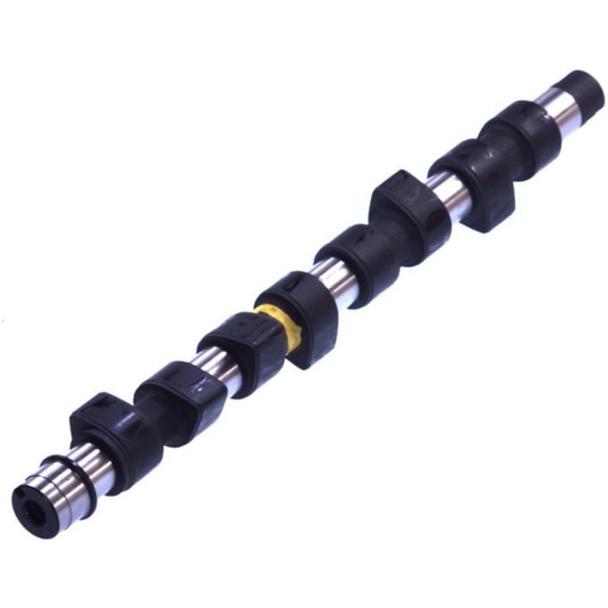 Nokkenas  AE CAM651