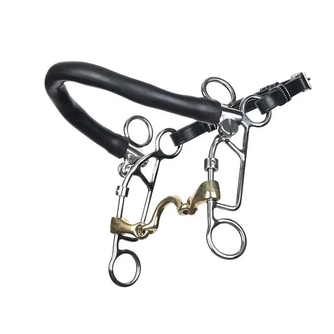 Combinatiebit voor paard met dubbele breuk met passage Jump'In