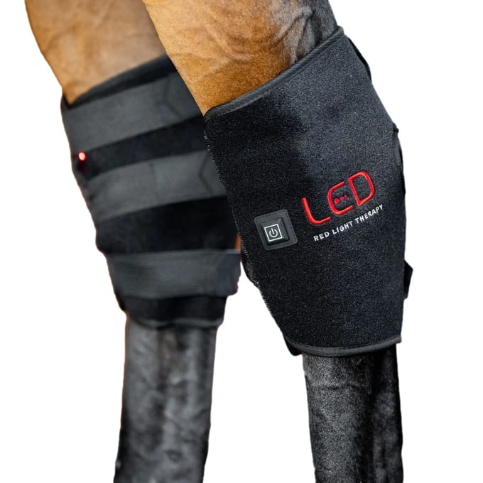 Guêtres voor paard kraan van luminotherapie Horseware (x2)