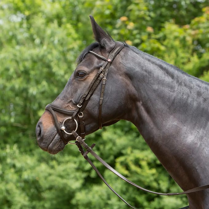 Gecombineerd hoofdstel met neusriem Kieffer Ultrasoft® Tara