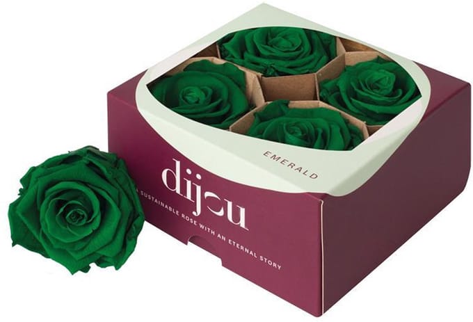 4x Dc pres.rozen green 2427c