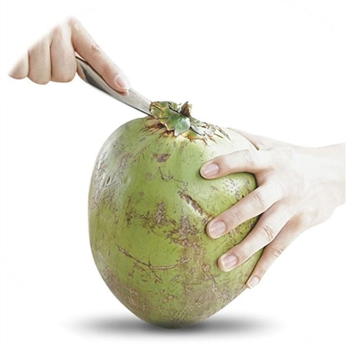 Ouvre-noix de coco en acier inoxydable pour ouvrir l'eau de coco verte fraîche beige