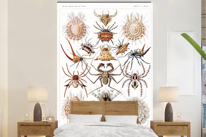 Behang - Fotobehang Retro - Spin - Ernst Haeckel - Spinnen - Breedte 180 cm x hoogte 280 cm
