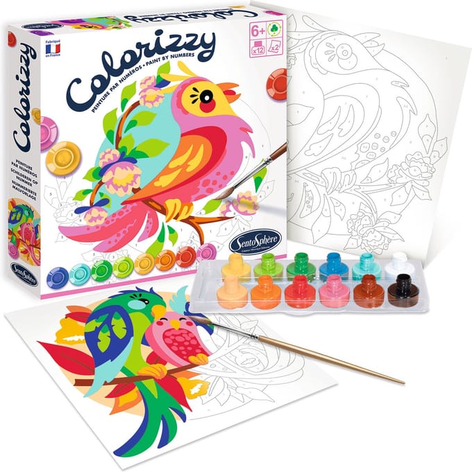 Sentosphère schilderen op nummer parkieten - creatieve set voor kinderen.