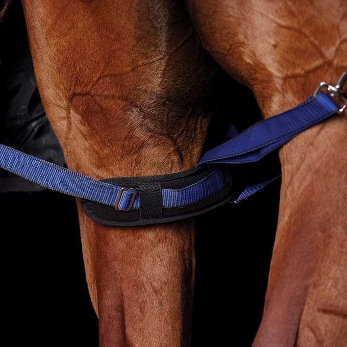 Gewatteerde beensingel voor paarden Weatherbeeta