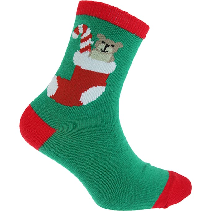 Floso Kinderen/kinderen Kerstmis Sokken (Groene Beer)