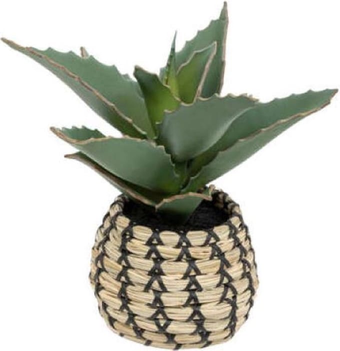 Atmosphera Kunstplant Samoerai 25x22x26cm - Groen/Beige