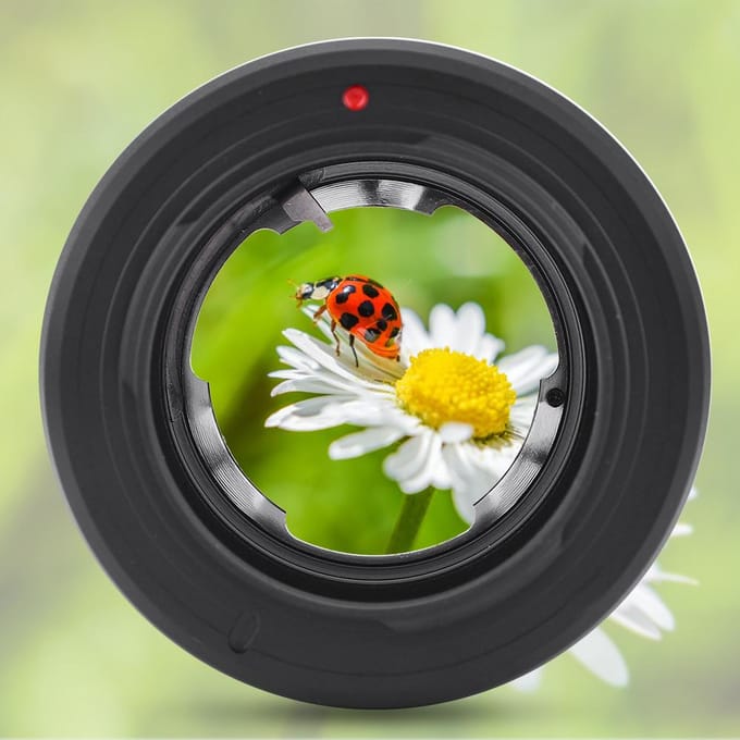 DKL NEX Zwarte Aluminiumlegering Lens Adapter Ring voor DKL Mount Camera Lens voor NEX Mount Camera black