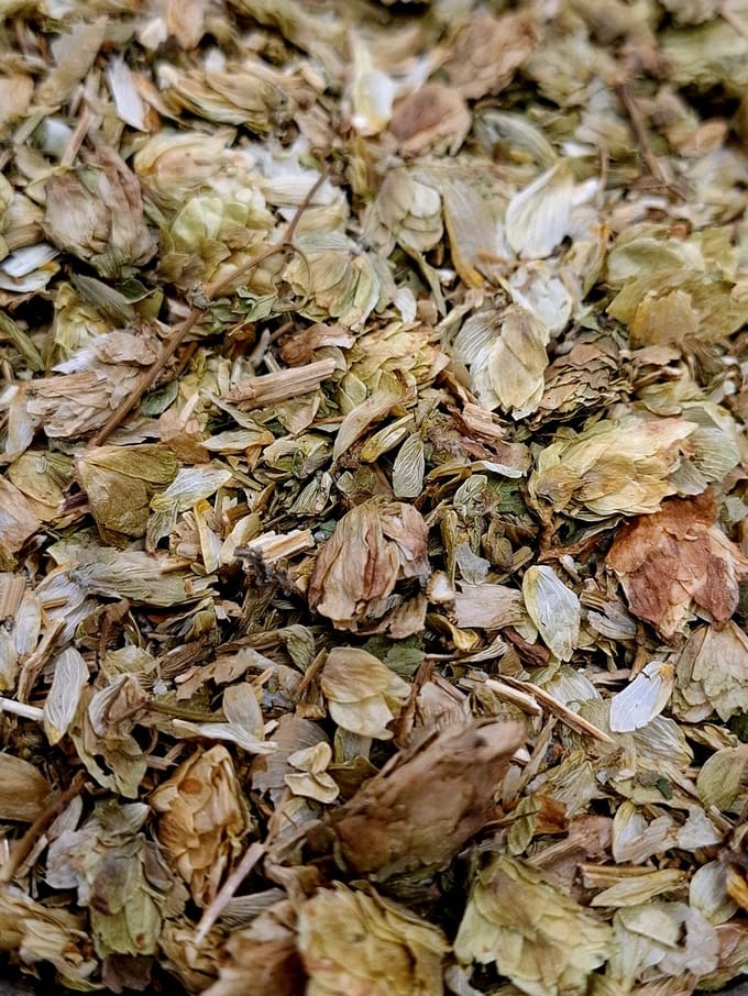 Hopbloemen (Humulus lupus)75g