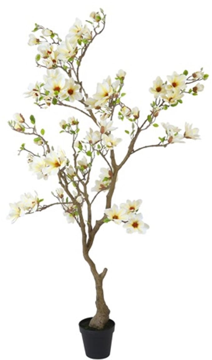 Countryfield Kunstplant Magnolia – Wit – Ø50 cm – Hoogte 210 cm