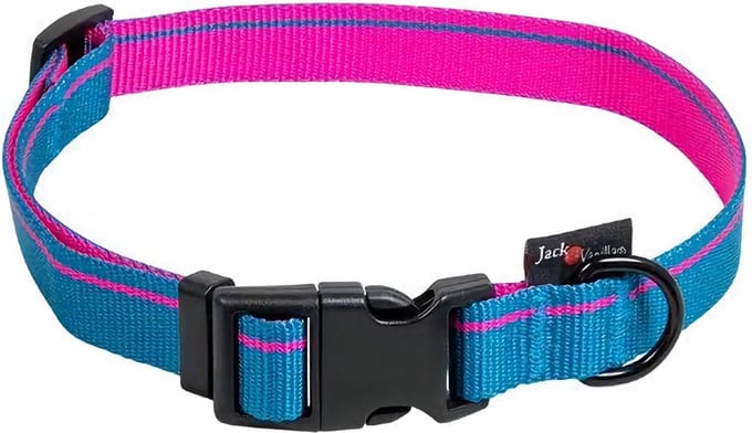 Jack and Vanilla Hondenhalsband Stripe - Blauw - Maat L - Verstelbaar 31-47 cm