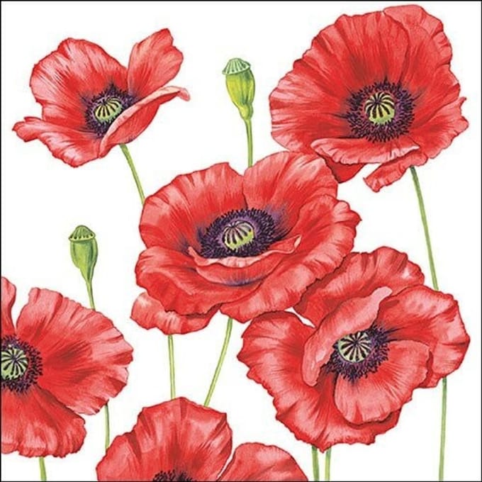 Lunch Servetten - Romantic Poppy