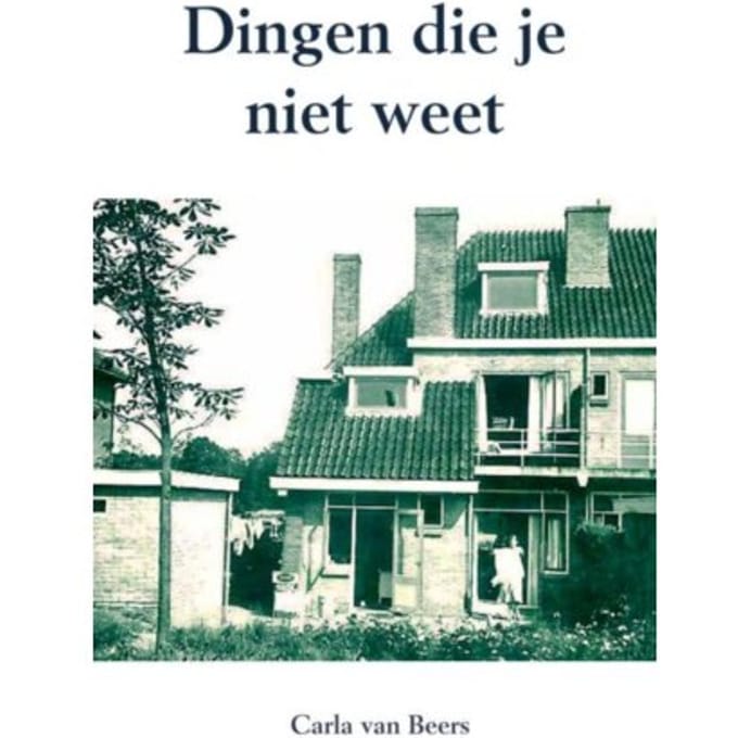 Dingen Die Je Niet Weet - Carla van Beers