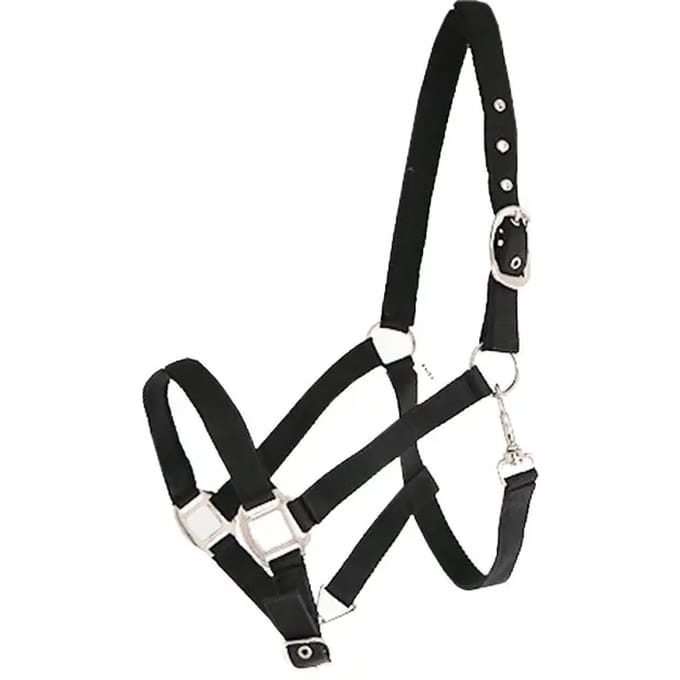 Nylon gevoerd paardenhalster Canter