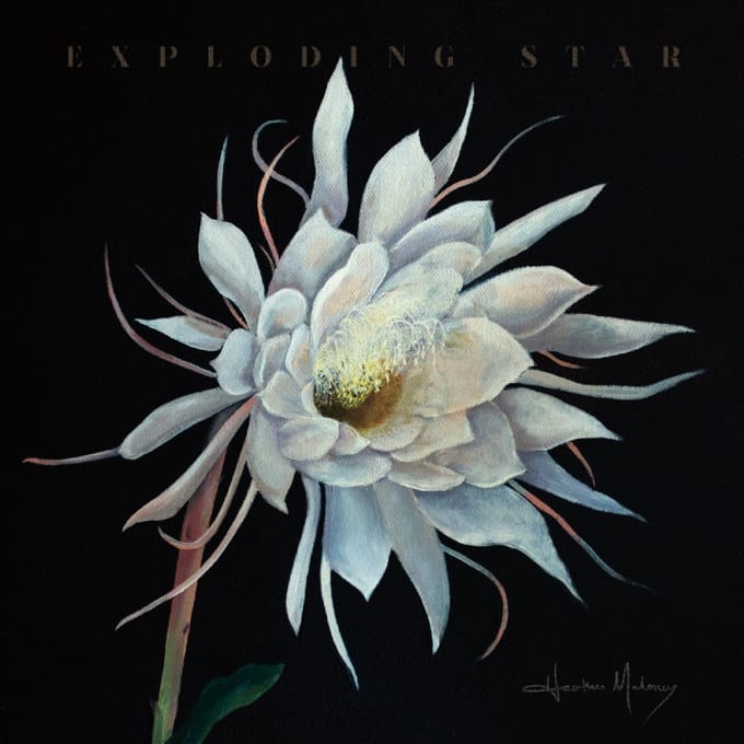 Exploding Star - Heather Maloney