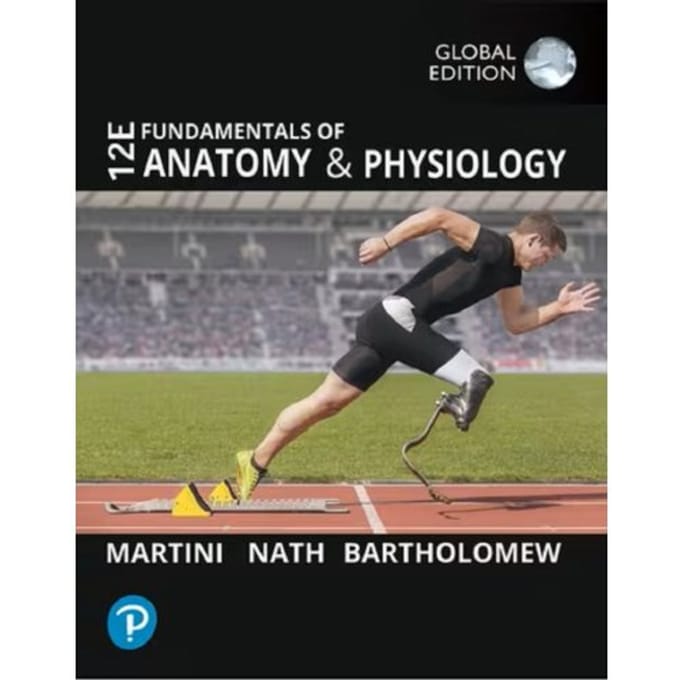 Fundamentals Of Anatomy And Physiology, Global Edition - Frederic Martini