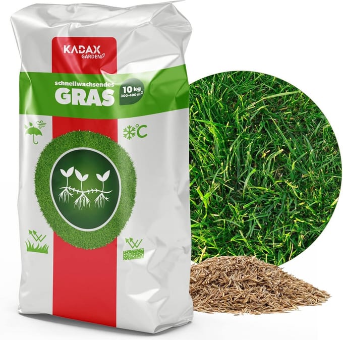 Graszaad - Gazonkorrels - Dicht gazon - Snelgroeiend en vorstbestendig - 10 kg - Groen