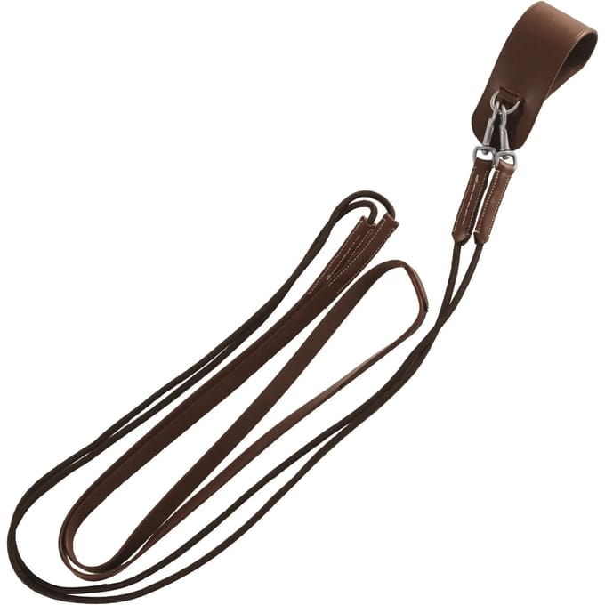 Duitse teugels leder Canter