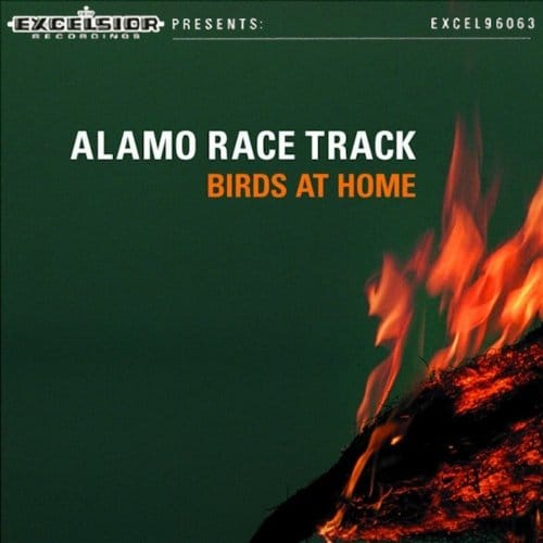 Birds At Home - Alamo Race Track