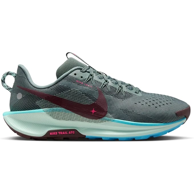 Hardloopschoenen Nike Pegasus Trail 5
