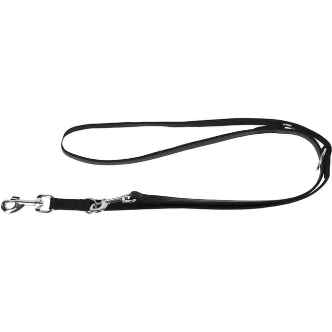 Dog Leash Alliance Kerbl Vegas