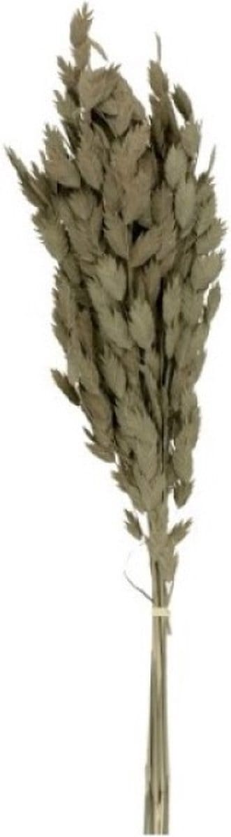 Boeket van gedroogde bloemen Artemio