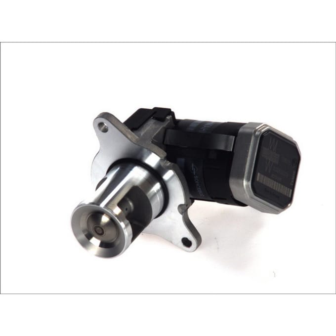 Borg Warner AGR-Ventiel WAHLER 7353D