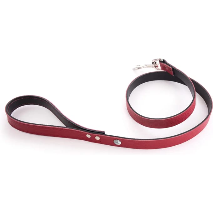 Hondenriem Martin Sellier Allure T100