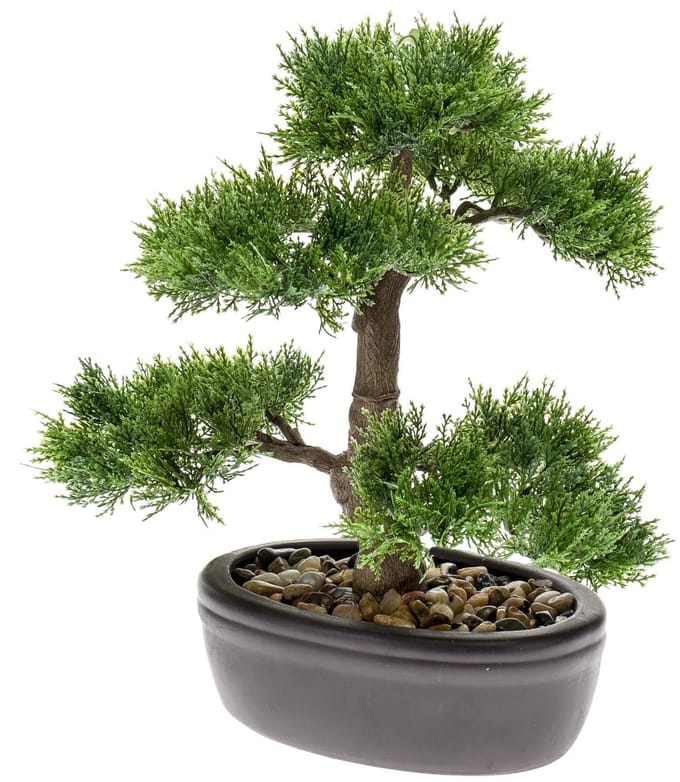 Emerald - Kunstplant Bonsai Ceder 32cm - Kunstplant voor binnen