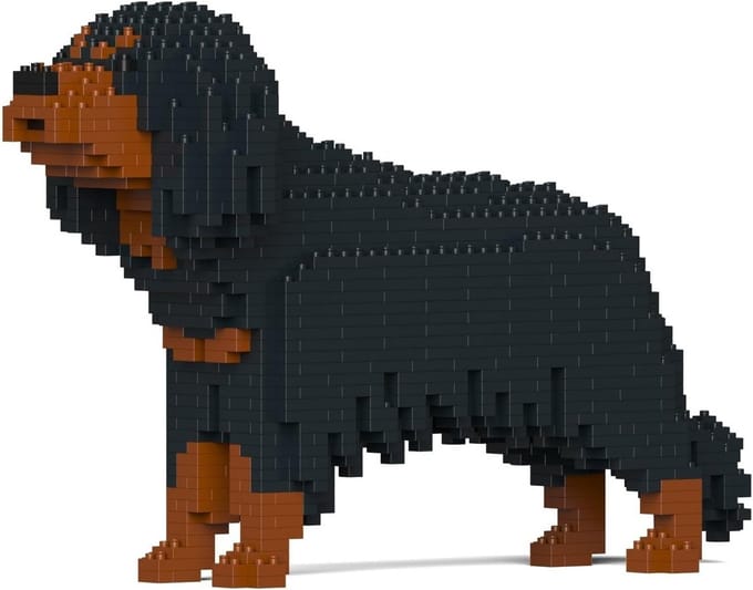 Bouwstenen Cavalier King Charles Spaniël - 3D Puzzel Model Dieren Set voor Kidults