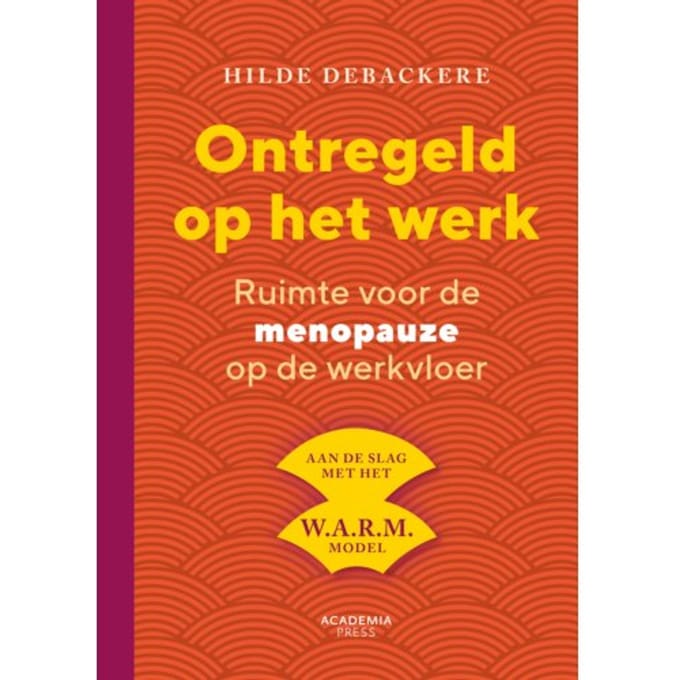 Ontregeld Op Het Werk - Hilde Debackere