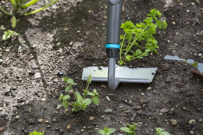 GARDENA NatureLine Onkruidsteker - FSC 100%