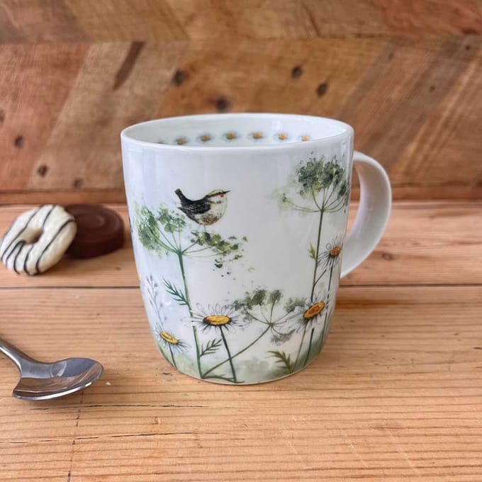 Alex Clark Mok Wren & Cow Parsley ~ Winterkoning