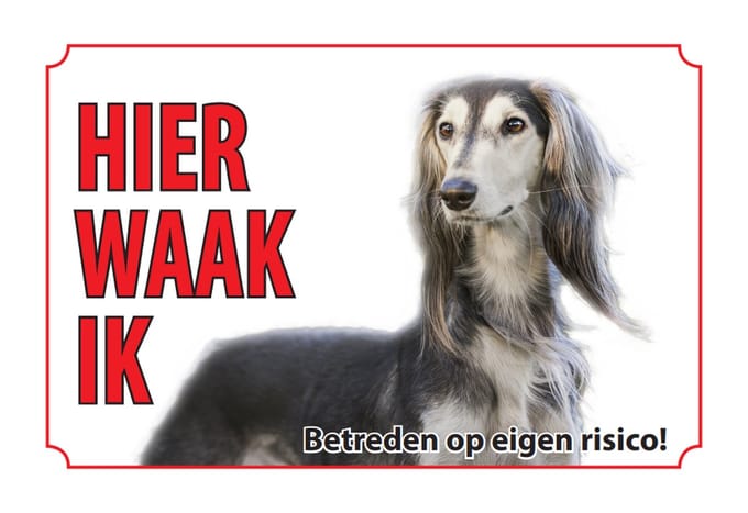 Bord Saluki