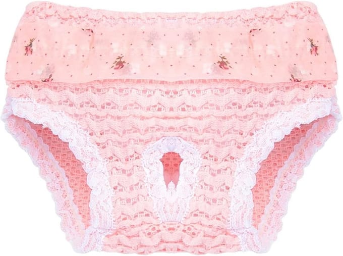 Huisdierkleding - Hondenbroekjes - Zindelijkheidstraining - Verstelbare taille - Maat M - Roze