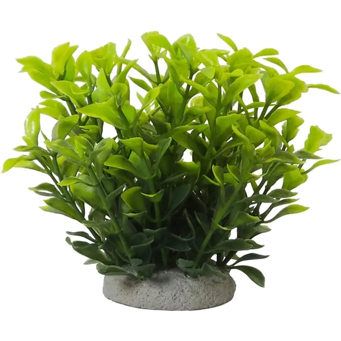 Aquariumdecoratie Nobby Pet Ludwigia Green