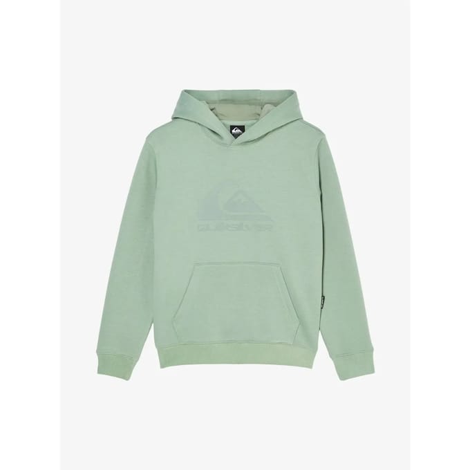 Quiksilver Comp Logo Kids Hoodie groen