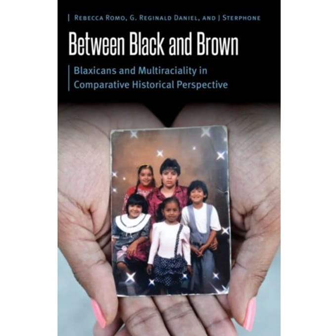 Between Black And Brown - Borderlands And Transcultural Studies - Rebecca Romo